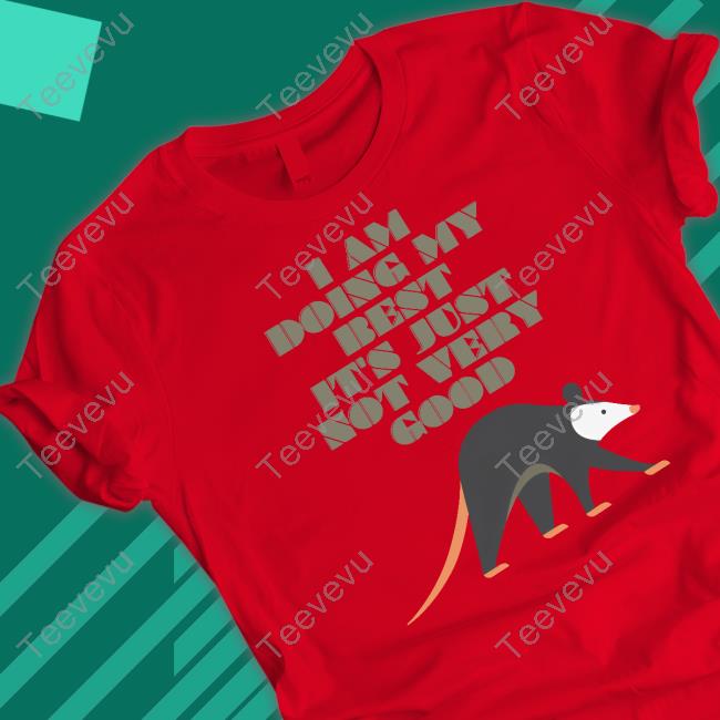 Fuckboisoflit Threadless Merch I Am Doing My Best It's Just Not Very Good Hoodie
