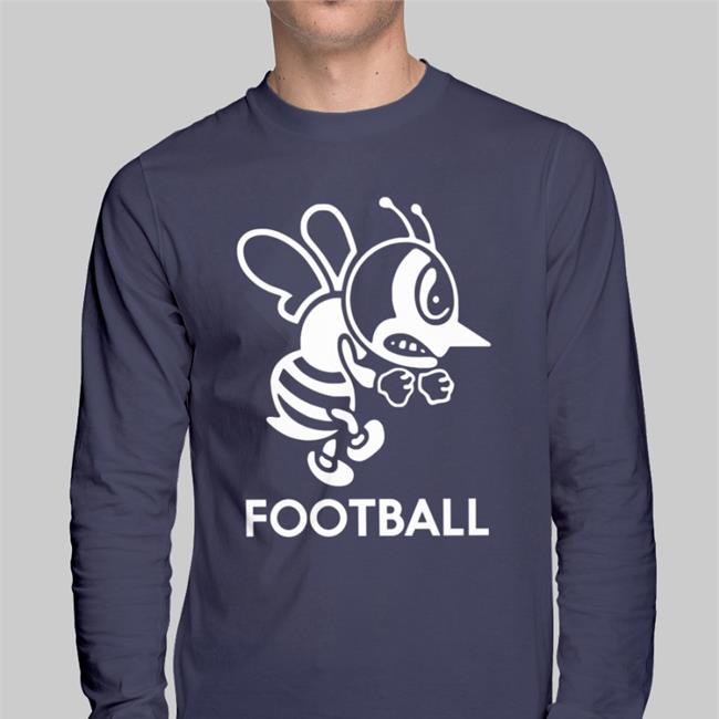 Vince Fillipp St. Ambrose University Bees Football Hooded Sweatshirt Grant Sibley