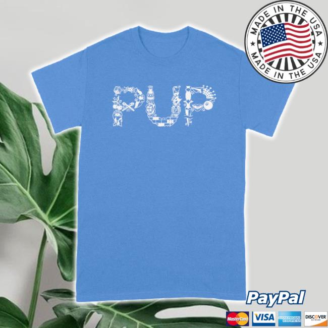Original Pup The Band Merch Store Flash Logo Hoodie Sweatshirt Puptheband Shop