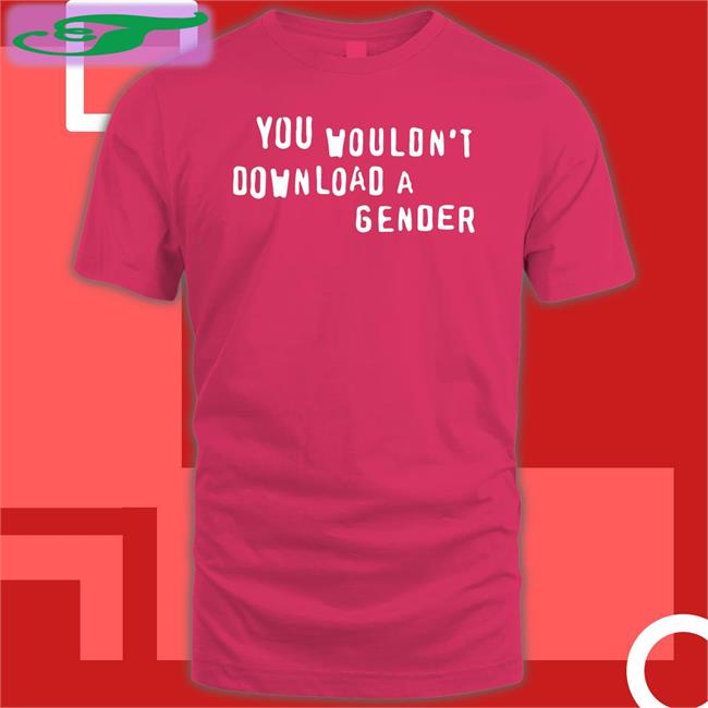 You Wouldn't Download A Gender T Shirt