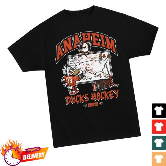 Anaheim Team Merch Store Shop Wild Wing Lesson Plan Hoodie Sweatshirt