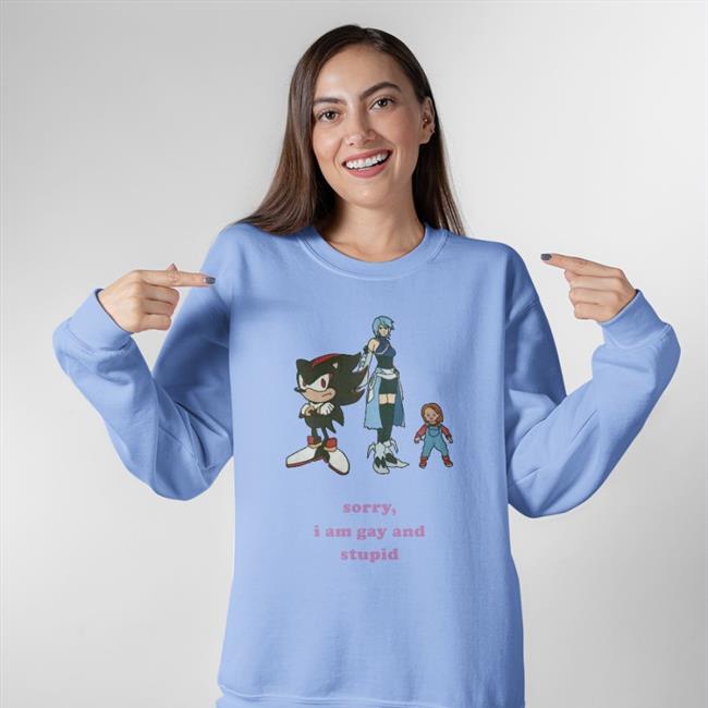 Sorry I'm Gay And Stupid Hoodie