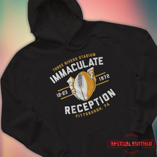 Three Rivers Stadium Immaculate Pittsburgh. Pa Sweatshirts