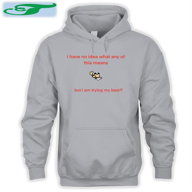 Posebean I Have No Idea What Any Of This Means But I Am Trying My Best Hooded Sweatshirt Posebean Pikachu Extraordinaire