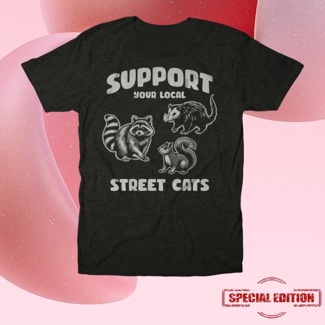 The Chivery Merch Shop Store Official Limited Street Cats Hoodie