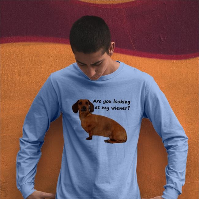 Goodshirts Are You Looking At My Wiener Hoodie Dog