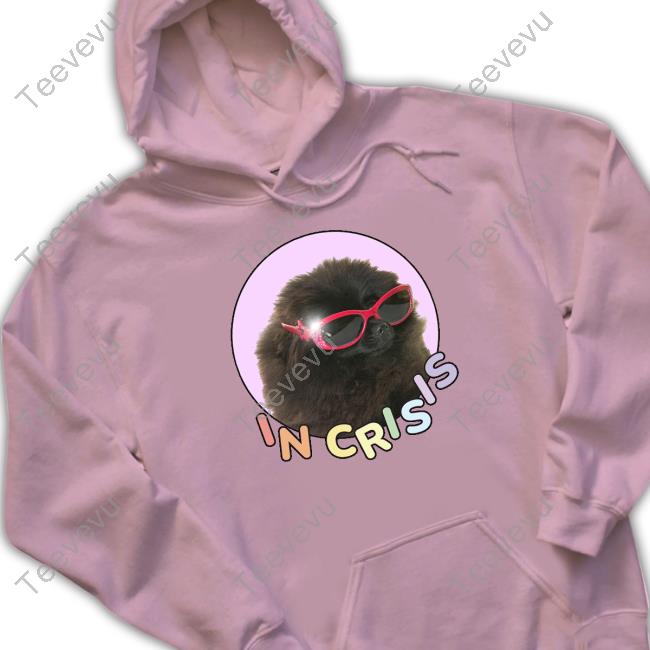 Gotfunnymerch In Crisis Hooded Sweatshirt