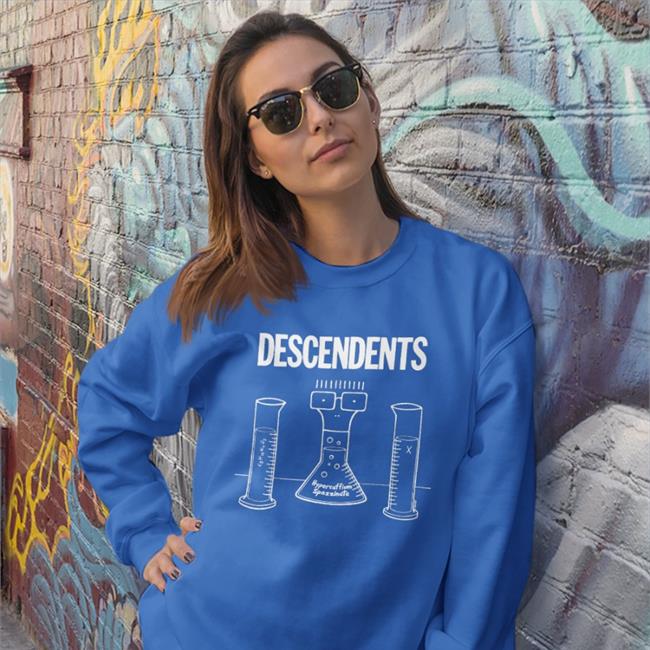 Descendents T Shirt