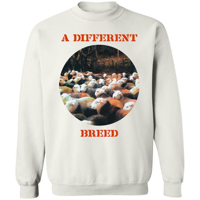 Brandon Boston Jr A Different Breed SS Shirt Rokit Merch A Different Breed Love Me Hate Me Shirt Brandon Boston Jr A Different Breed SS Shirt Rokit Merch A Different Breed Love Me Hate Me Shirt