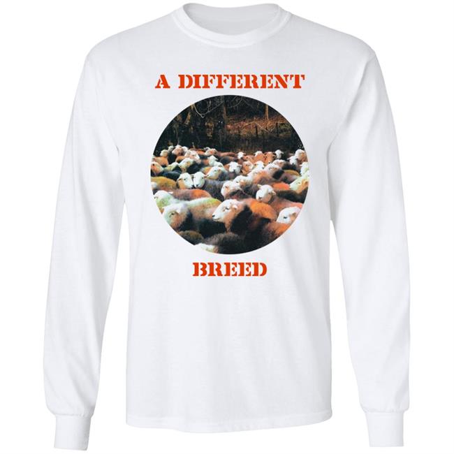 Brandon Boston Jr A Different Breed SS Shirt Rokit Merch A Different Breed Love Me Hate Me Shirt Brandon Boston Jr A Different Breed SS Shirt Rokit Merch A Different Breed Love Me Hate Me Shirt