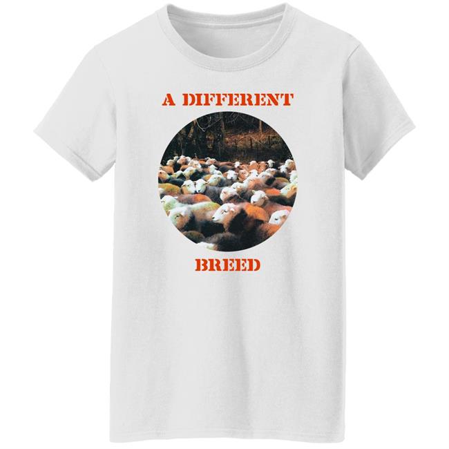 Brandon Boston Jr A Different Breed SS Shirt Rokit Merch A Different Breed Love Me Hate Me Shirt Brandon Boston Jr A Different Breed SS Shirt Rokit Merch A Different Breed Love Me Hate Me Shirt
