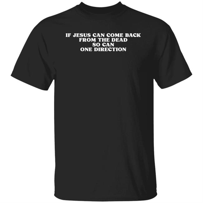 Chels13 If Jesus Can Come Back From The Dead So Can One Direction Shirt Hoodie Sweatshirt