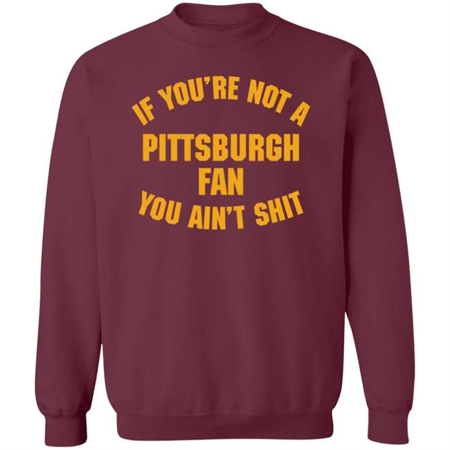 Stillergang If You're Not A Pittsburgh Fan You Ain't Shit Shirt Steelers Fan Stillergang If You're Not A Pittsburgh Fan You Ain't Shit Shirt Steelers Fan