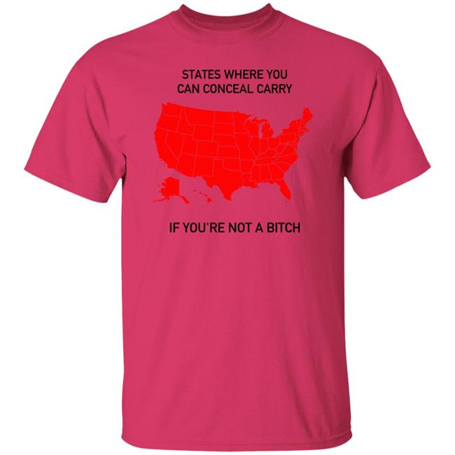 States Where You Can Conceal Carry If You're Not A Bitch Shirt Ghostguns.Com