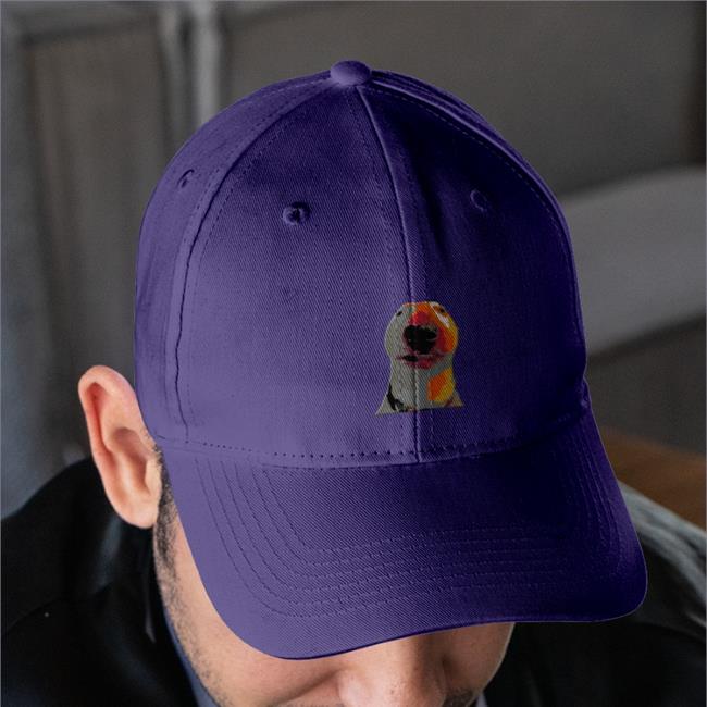 Walter Meme Dog Cap 100T Vinnie