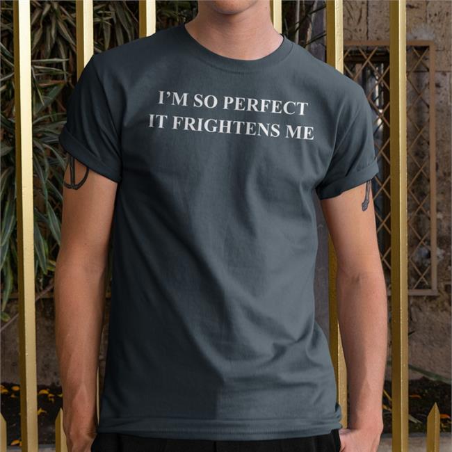 Shirts That Go Hard I'm So Perfect It Frightens Me Hoodied Sweatshirt Shirtsthtgohard