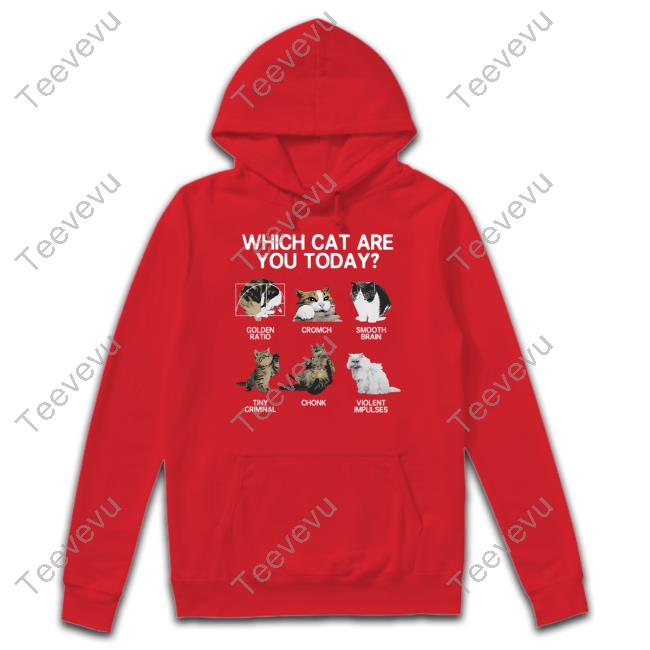 Which Cat Are You Today Golden Cromch Smooth Brain Tiny Criminal Chonk Violent Impulses Long Sleeve T Shirt Weirdlilguys Store
