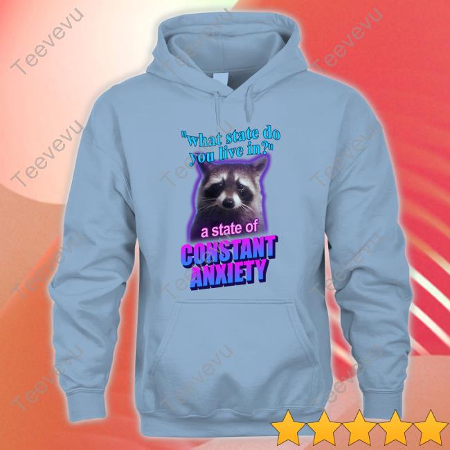 Snazzy Seagull Design What State Do You Live In A State Of Constant Anxiety Raccoon Long Sleeve