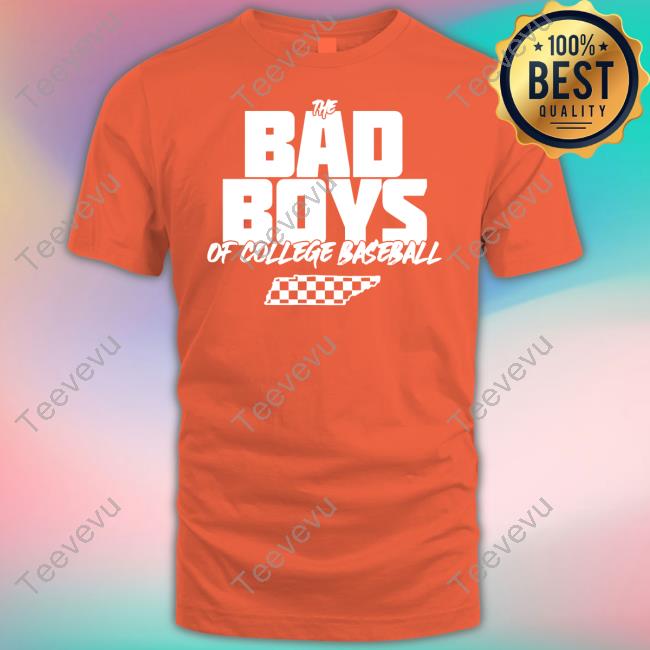 Aarontorresonline Store The Bad Boys Of College Baseball Hoodie