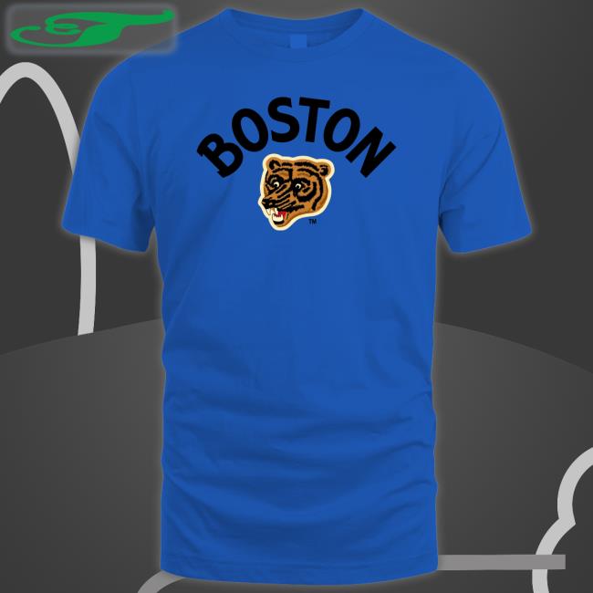 Boston Pooh Bear Hoodie Sweatshirt