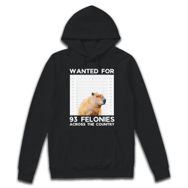 Capybara Mugshot Wanted For 93 Felonies Across The Country Hooded Sweatshirt