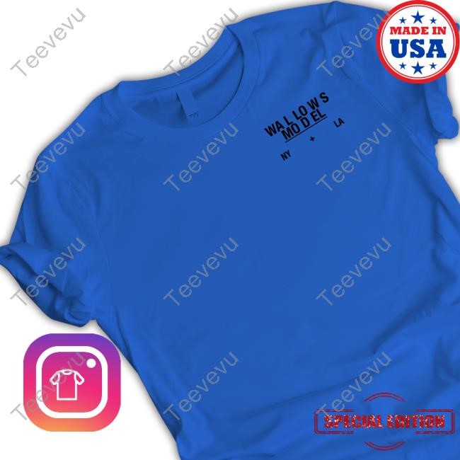 Wallowsmusic Merch Wallows Model Pop-Up Sweatshirt