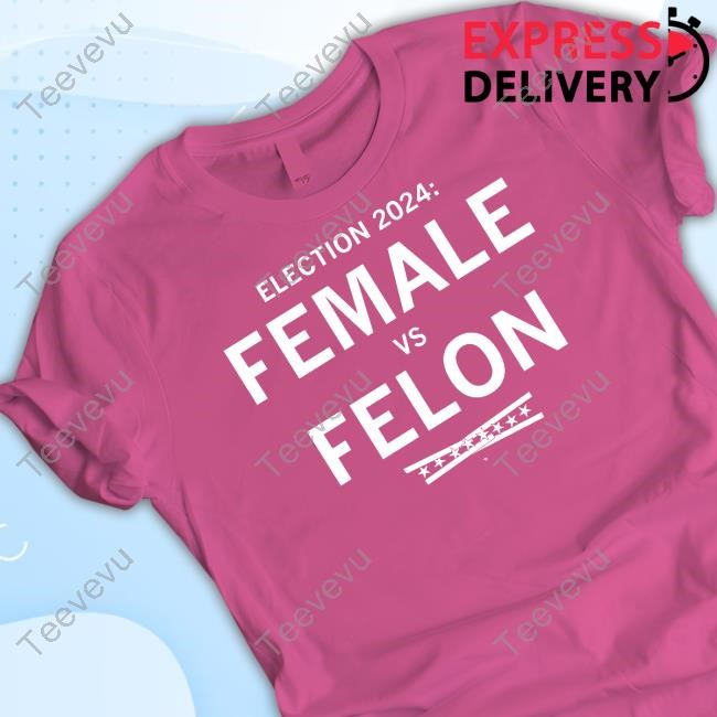 Official Election 2024 Female Vs Felon T-Shirt