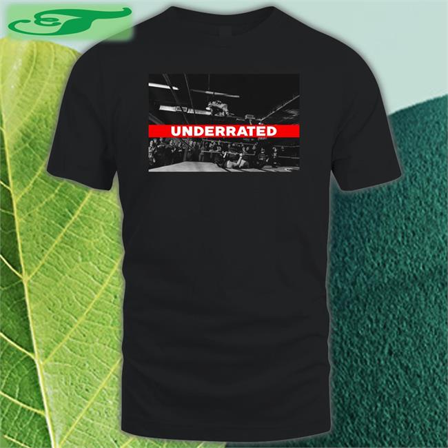 Prowrestlingtees Merch Underrated Hoodie Alan Angels