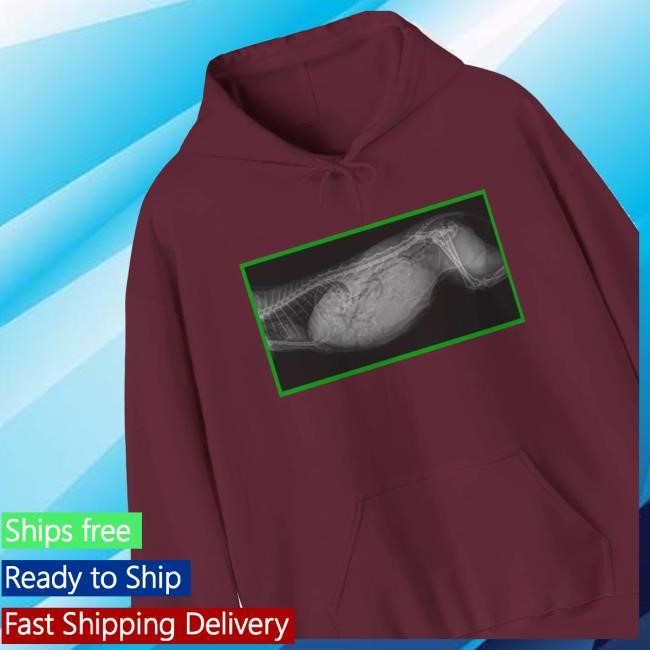 Pickle X Ray Tee Shirt Printify Merch Shop Store Official Pickle X Ray Long Sleeve T Shirt
