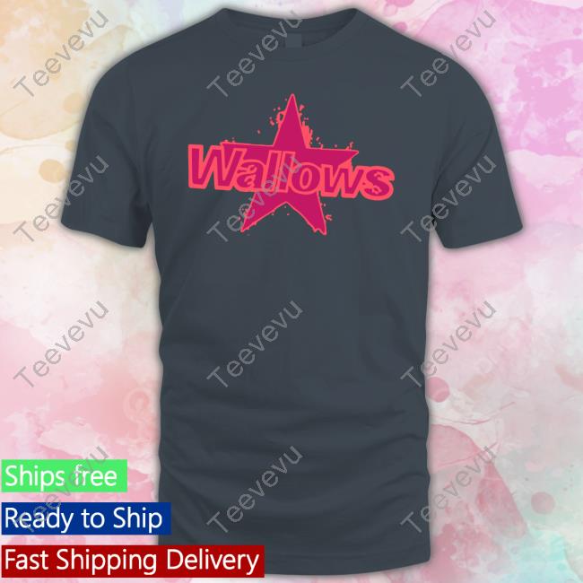 Wallows Star T Shirt